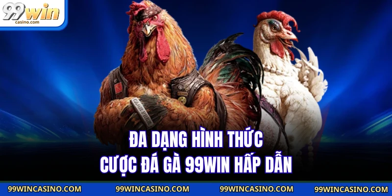 Đá Gà 99WIN - Tận Hưởng Đấu Trường Xanh Chín #1 Châu Á - TOVIN