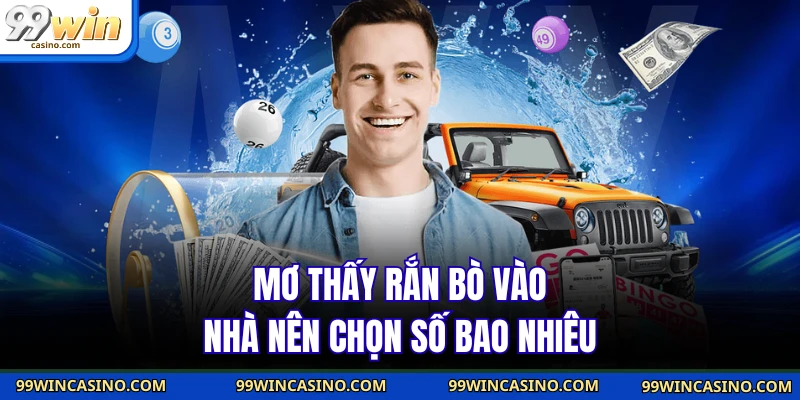Nằm Mơ Thấy Rắn - Hé Lộ Con Số May Mắn Trong Đời Bạn - TOVIN