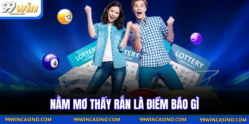 Nằm Mơ Thấy Rắn - Hé Lộ Con Số May Mắn Trong Đời Bạn - TOVIN