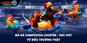 Đá Gà Lucky88 – Trường Gà Trực Tuyến Uy Tín Hàng Đầu - TOVIN