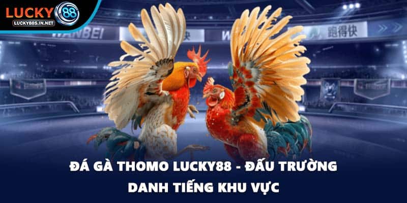 Đá Gà Campuchia Lucky88 - Sức Hút Từ Đấu Trường Thật - TOVIN