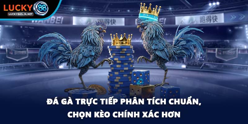 Đá gà trực tiếp - Xem Thật Chơi Thật Tại Nhà Cái Lucky88 - TOVIN
