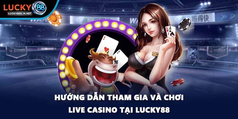 Live Casino - Tìm Hiểu Về Trò Chơi Bài Bùng Nổ Tại Lucky88 - TOVIN