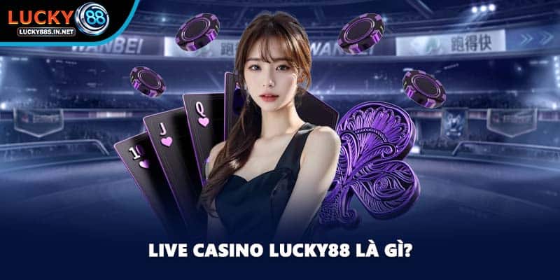 Live Casino Lucky88 – Trải Nghiệm Casino Trực Tuyến Sống Động - TOVIN