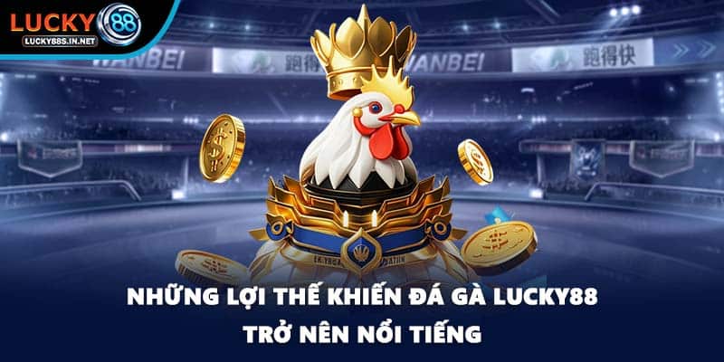 Đá Gà Lucky88 – Trường Gà Trực Tuyến Uy Tín Hàng Đầu - TOVIN