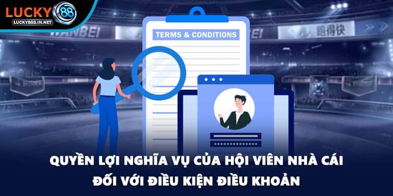 Điều Kiện Điều Khoản Lucky88 - Chính Sách Quan Trọng Cần Nắm - TOVIN