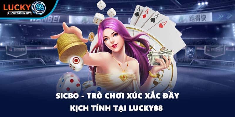 Live Casino - Tìm Hiểu Về Trò Chơi Bài Bùng Nổ Tại Lucky88  - TOVIN