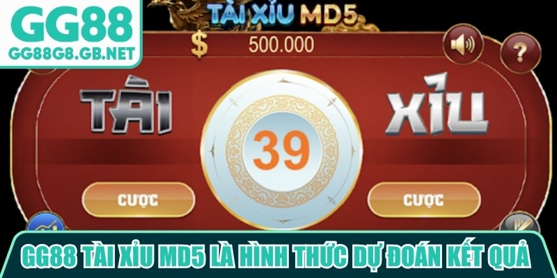 GG88 Tài Xỉu MD5 - Lựa Chọn Nổi Bật Cho Trải Nghiệm Mới - TOVIN
