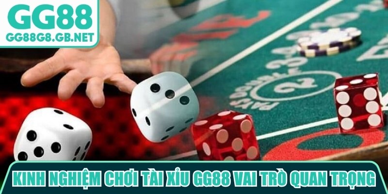Kinh Nghiệm Chơi Tài Xỉu GG88 Giúp Tăng Hiệu Quả Mỗi Ván - TOVIN