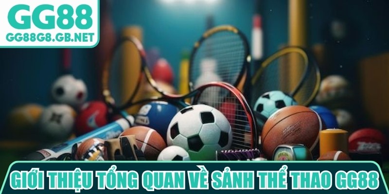 Sảnh Thể Thao GG88 - Không Gian Giải Trí Đầy Cuốn Hút - TOVIN