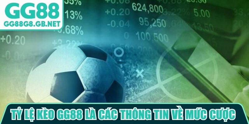 Tỷ Lệ Kèo GG88 - Nguồn Tin Thể Thao Hữu Ích Đáng Chú Ý - TOVIN