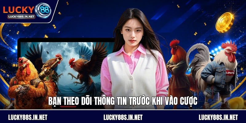 Kèo Bắt Đá Gà - Hướng Dẫn Đọc Kèo Và So Sánh Tỷ Lệ - TOVIN