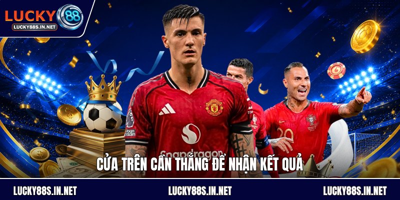 Kèo Chấp Nửa Trái - Cách Hiểu Kèo Và Tính Thắng Thua - TOVIN