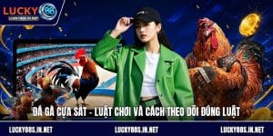 Đá Gà Lucky88 – Trường Gà Trực Tuyến Uy Tín Hàng Đầu - TOVIN