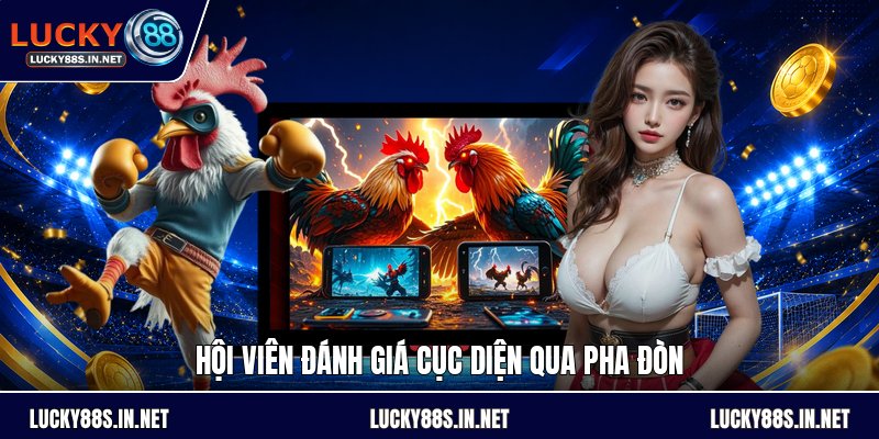 Đá Gà Cựa Sắt - Luật Chơi Và Cách Theo Dõi Đúng Luật - TOVIN