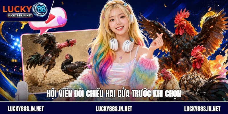 Kèo Bắt Đá Gà - Hướng Dẫn Đọc Kèo Và So Sánh Tỷ Lệ - TOVIN