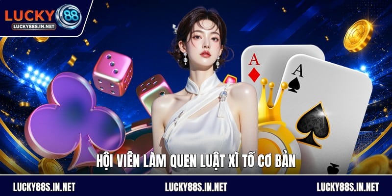Cách Chơi Bài Xì Tố - Luật Chơi Và Cách Đọc Thế Bài - TOVIN