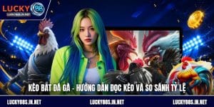 Đá Gà Lucky88 – Trường Gà Trực Tuyến Uy Tín Hàng Đầu - TOVIN