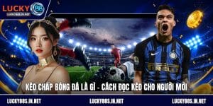 Thể Thao Lucky88 – Sảnh Cá Độ Thể Thao Trực Tuyến Đỉnh Cao - TOVIN
