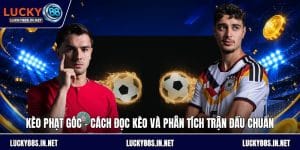 Thể Thao Lucky88 – Sảnh Cá Độ Thể Thao Trực Tuyến Đỉnh Cao - TOVIN
