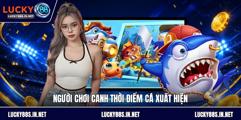 Cách Bắn Cá Rồng - Hướng Dẫn Chọn Đạn Và Săn Boss Lớn - TOVIN