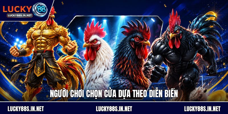 Đá Gà Cựa Dao - Luật Chơi Và Cách Theo Dõi Chi Tiết - TOVIN