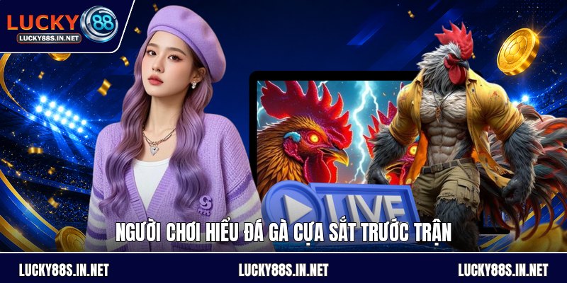 Đá Gà Cựa Sắt - Luật Chơi Và Cách Theo Dõi Đúng Luật - TOVIN