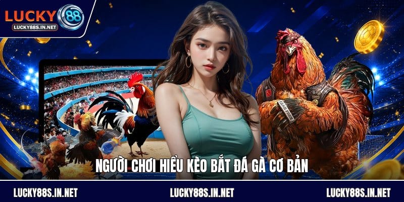 Kèo Bắt Đá Gà - Hướng Dẫn Đọc Kèo Và So Sánh Tỷ Lệ - TOVIN