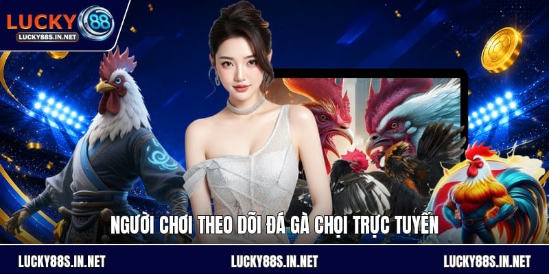 Đá Gà Chọi - Luật Đấu Và Cách Theo Dõi Kèo Dễ Hiểu - TOVIN