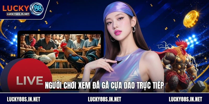 Đá Gà Cựa Dao - Luật Chơi Và Cách Theo Dõi Chi Tiết - TOVIN