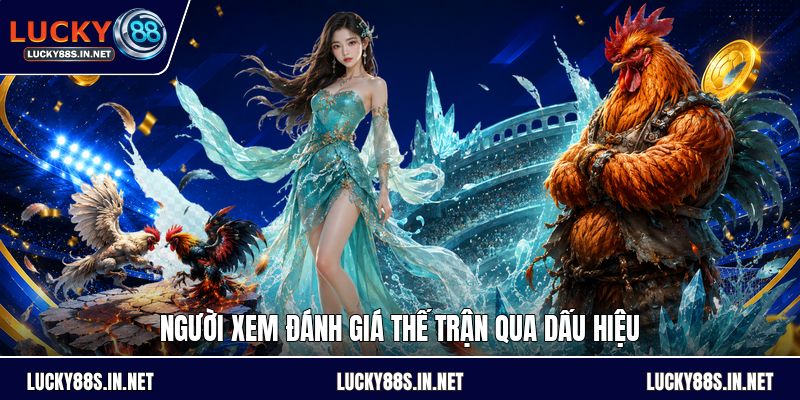 Đá Gà Chọi - Luật Đấu Và Cách Theo Dõi Kèo Dễ Hiểu - TOVIN