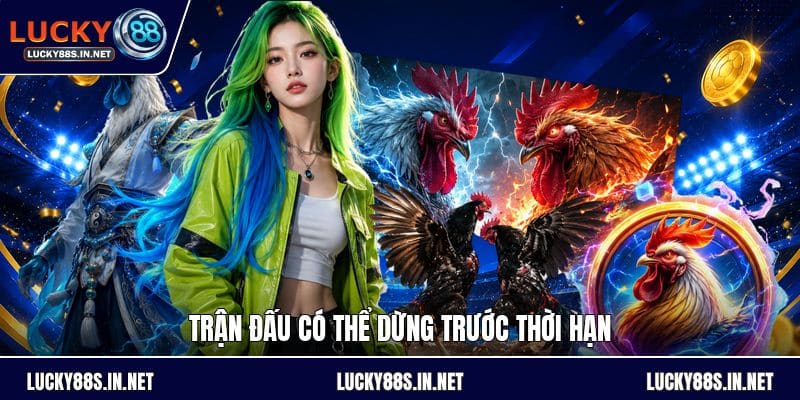 Đá Gà Cựa Dao - Luật Chơi Và Cách Theo Dõi Chi Tiết - TOVIN