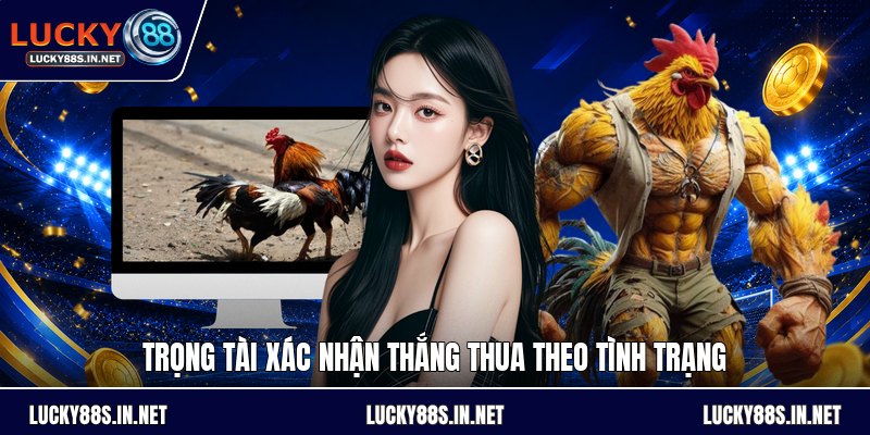 Đá Gà Cựa Sắt - Luật Chơi Và Cách Theo Dõi Đúng Luật - TOVIN