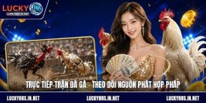 Đá Gà Lucky88 – Trường Gà Trực Tuyến Uy Tín Hàng Đầu - TOVIN