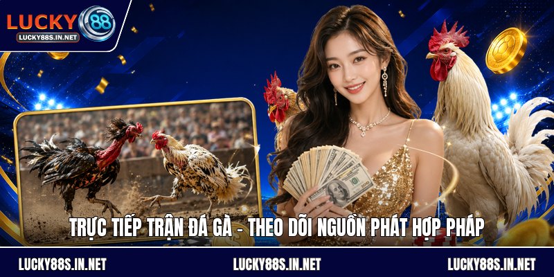 Bắn Cá Lucky88 – Trải Nghiệm Săn Cá Online Đỉnh Cao - TOVIN